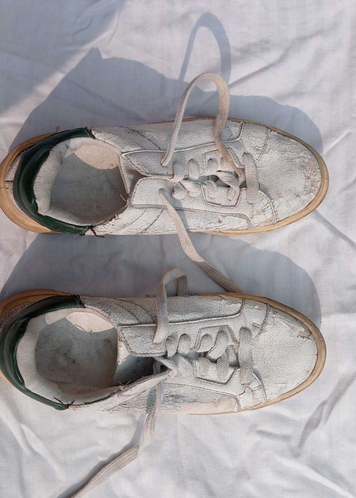 ZARA Classic White Lace-Up Sneakers | Original