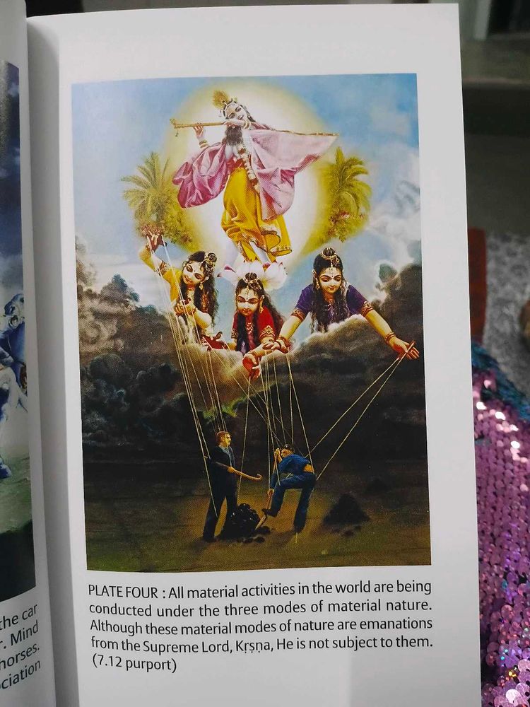 Art, Film &amp; Photography Book