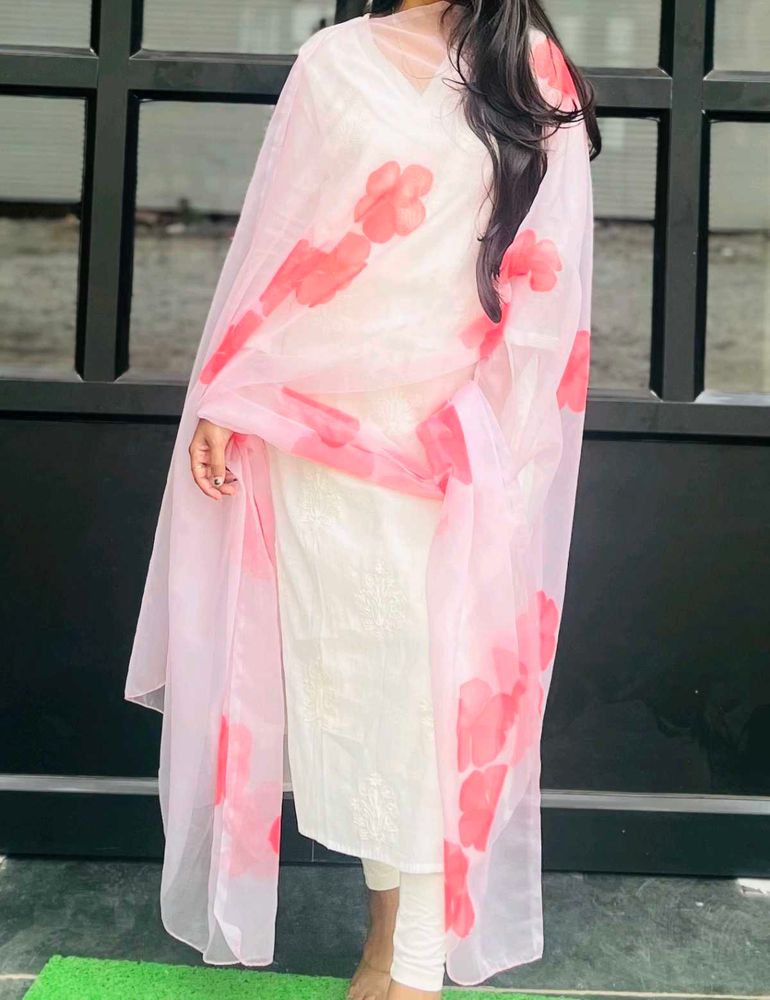 Baby Pink Organza Hand Painted Dupatta