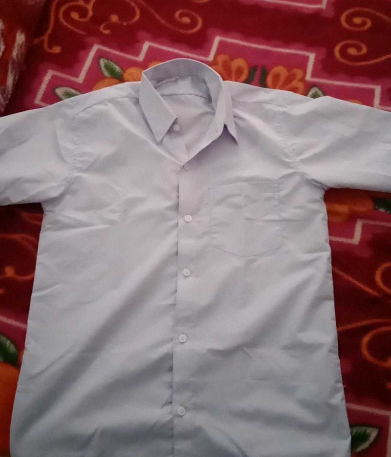 Navy blue Casual Shirt