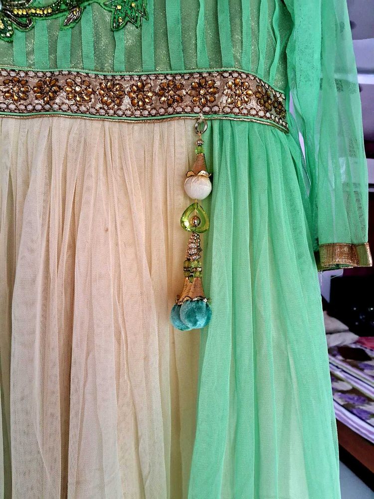 Elegant Ethnic Gown