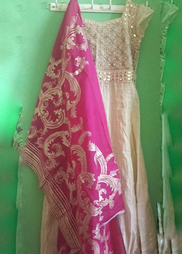Elegant Ethnic Gown