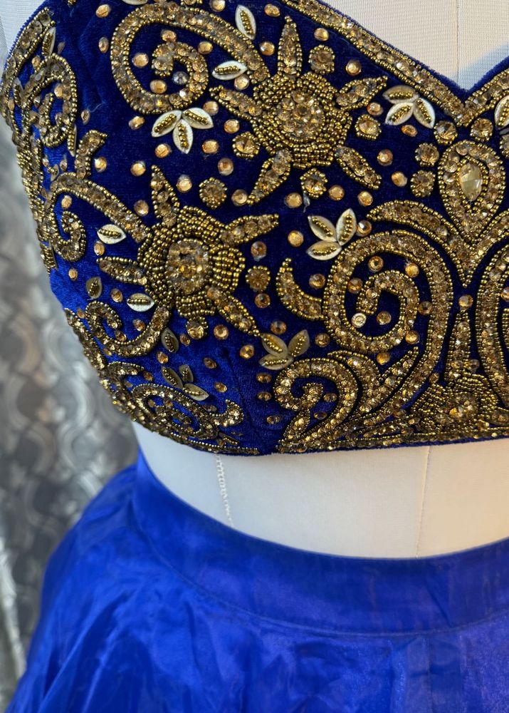 Blue Embellished Lehenga Choli