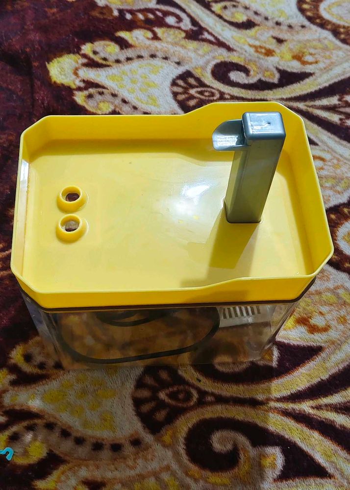 New 1 Day Old Pet Water Fountain - Yellow