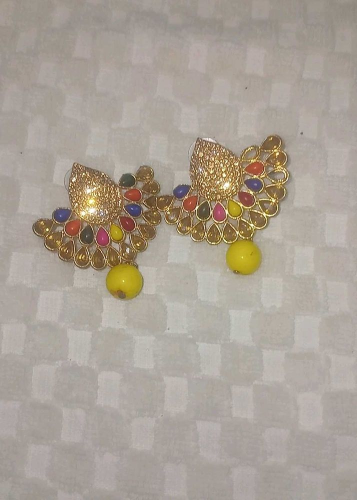 Earrings