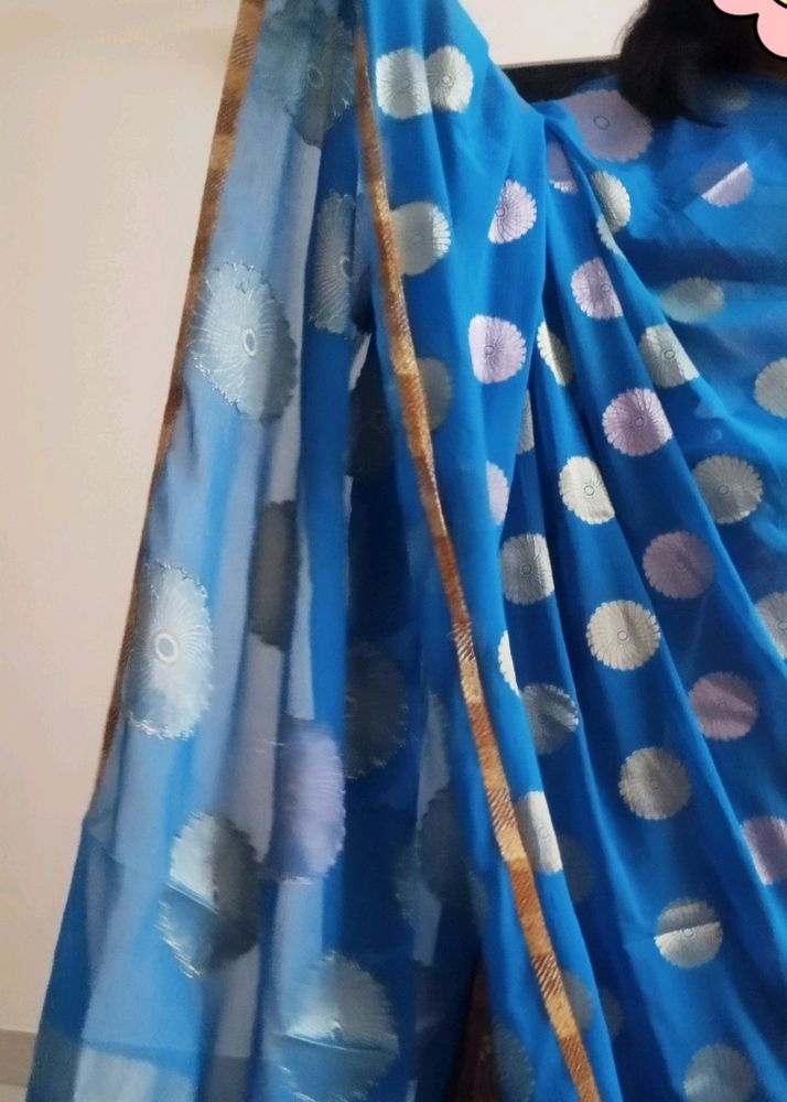 Unique Blue Sari.