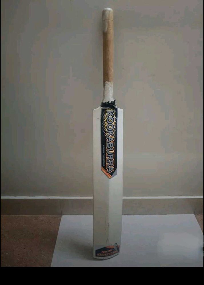 Cricket Bat
