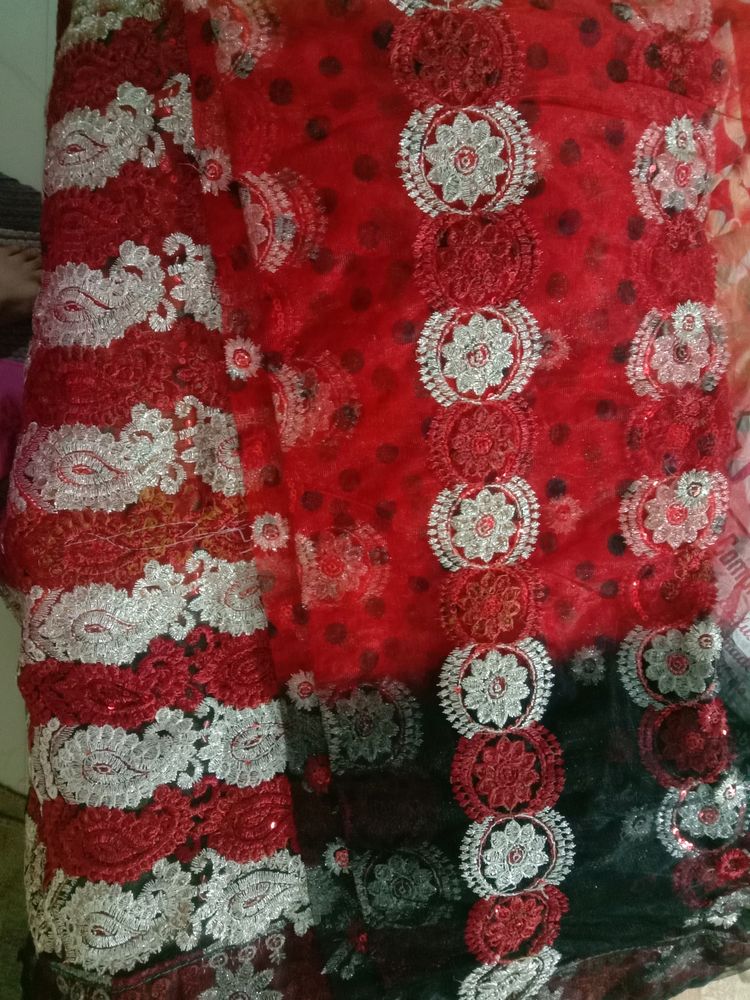 Beautiful Multicolour Net Saree