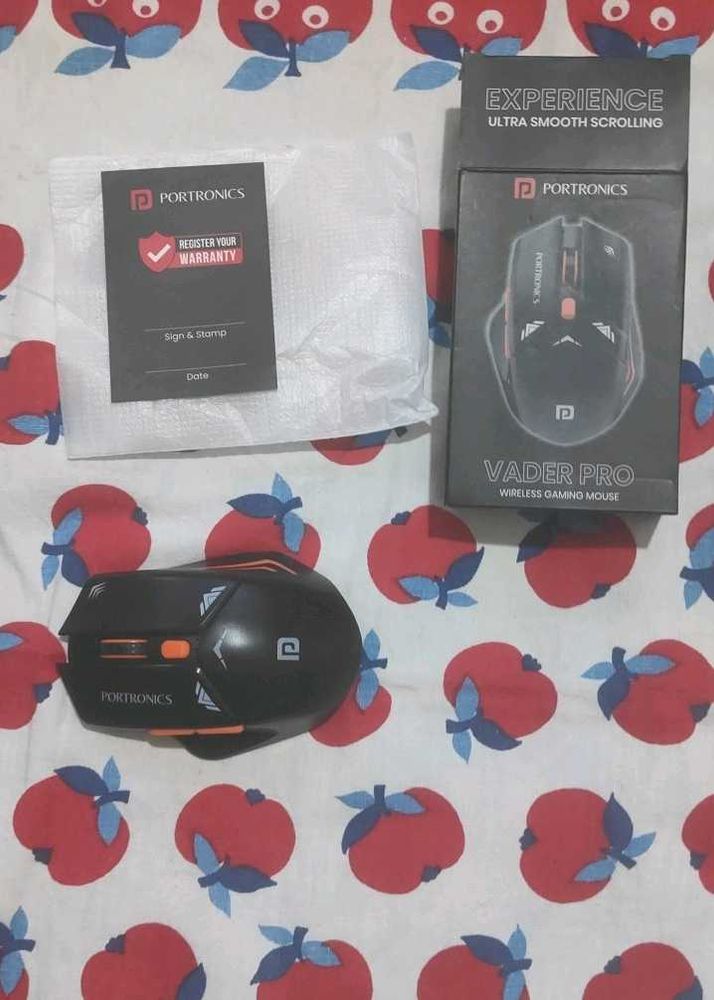 Mouse