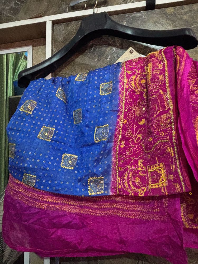 Elegant Ethnic Saree