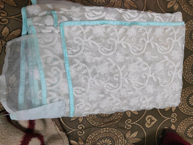 light green net chikan saree