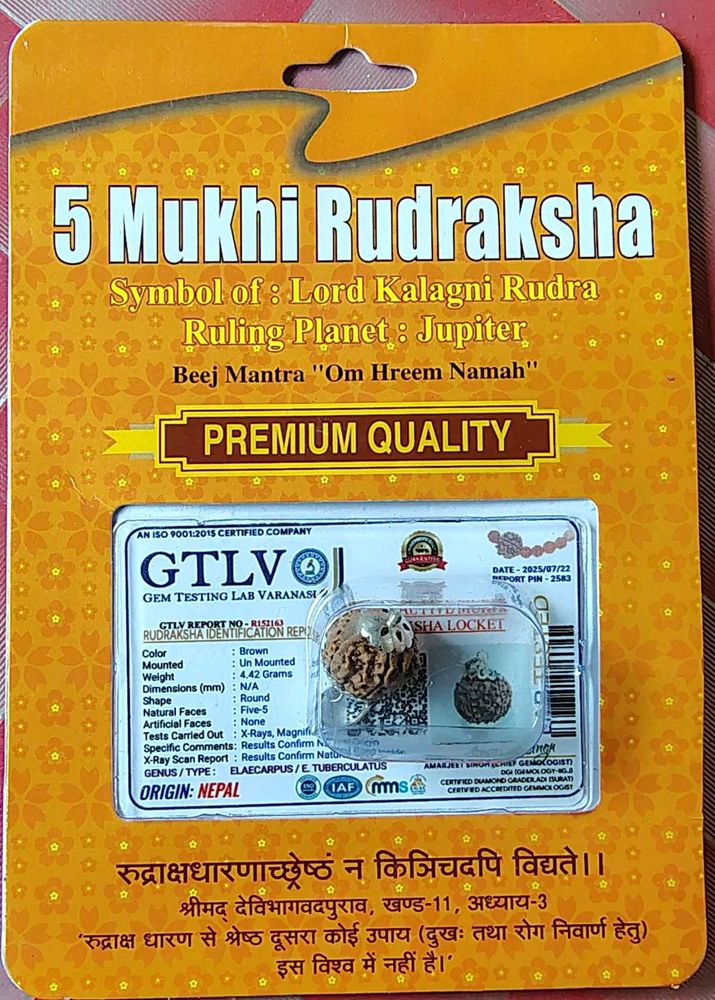 5 Mukhi Rudraksha Locket