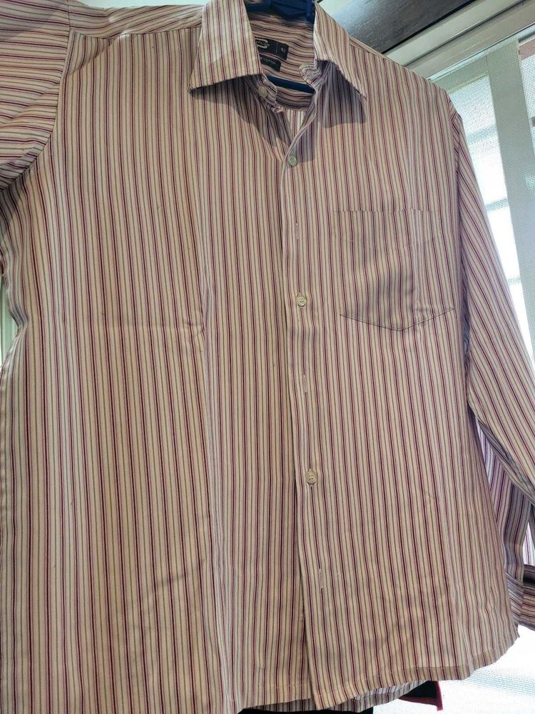 Daily Wear Shirt