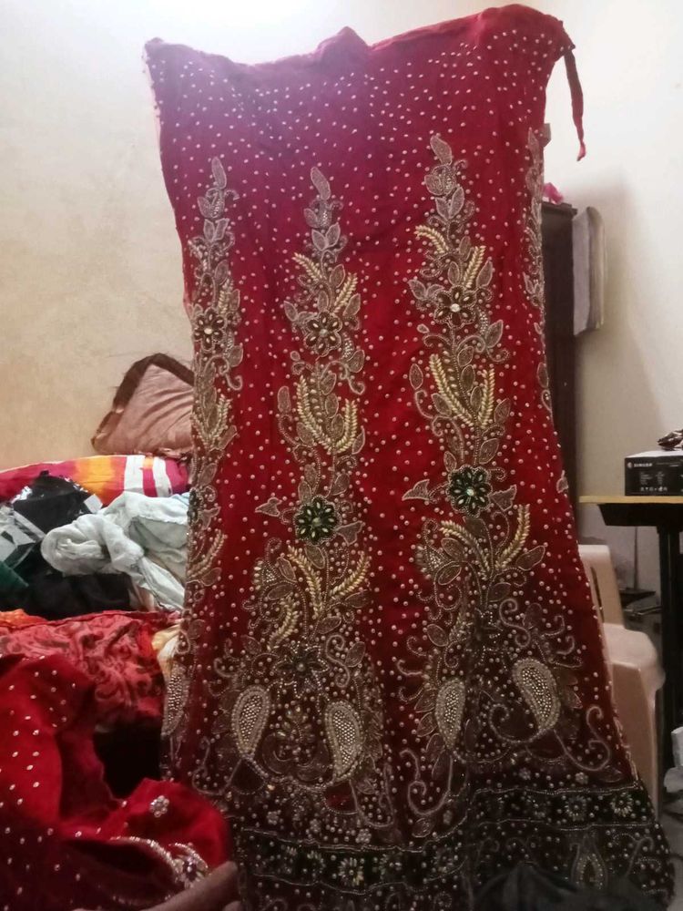 Elegant Lehenga Choli