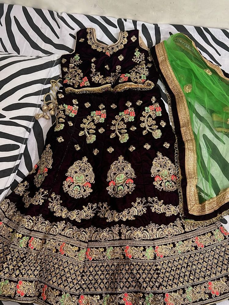 Girls Embroidered Lehenga Choli