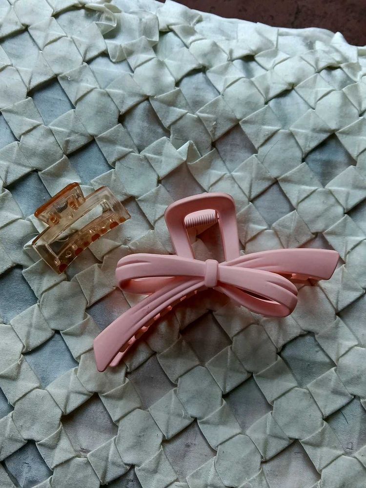 Hair Large &amp; Mini-Claw Clips - Set of 2