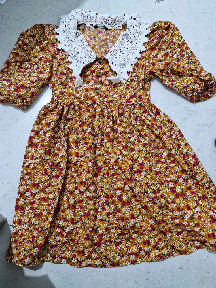 Floral Mini Dress with Lace Collar