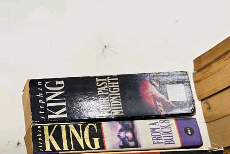 Stephen King&#39;s Dark Tower Series - Books 4 &amp; 5
