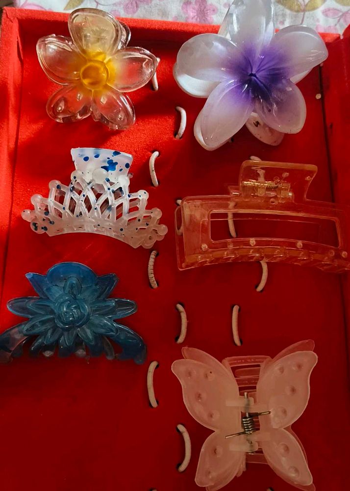 Hair Clutcher Combo OF 6