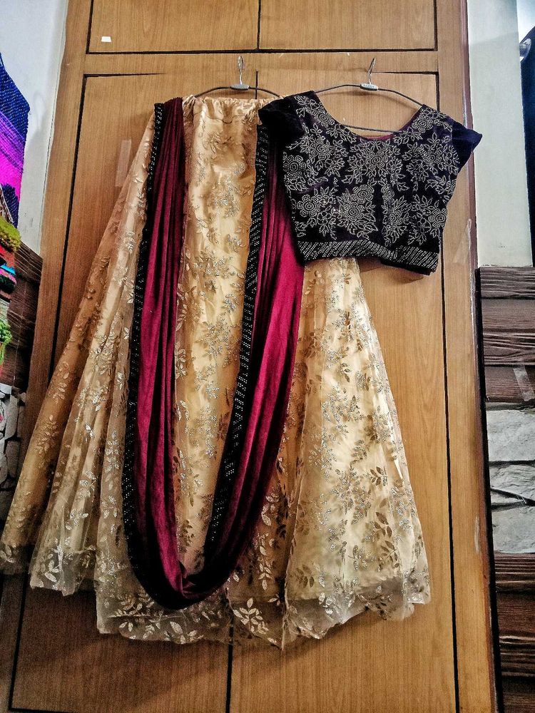 Branded Heavy Designer Lehenga Crop Top+Cancan