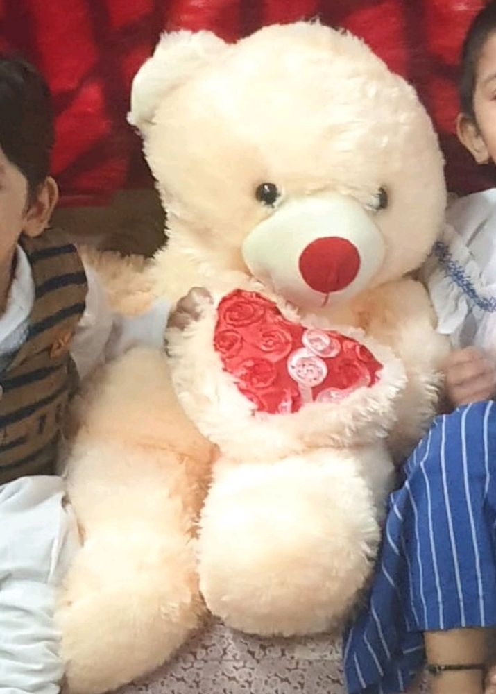 Teddy Bear