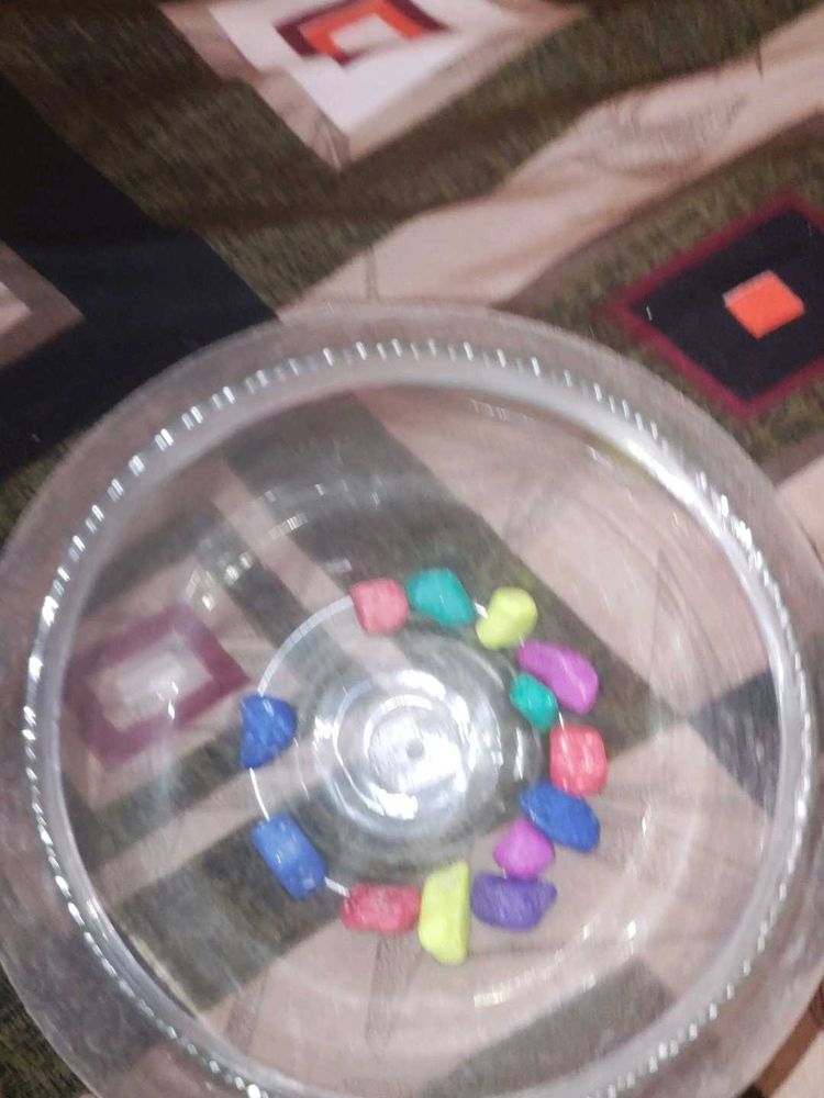 This Is Fish Tank And Flowers Inside