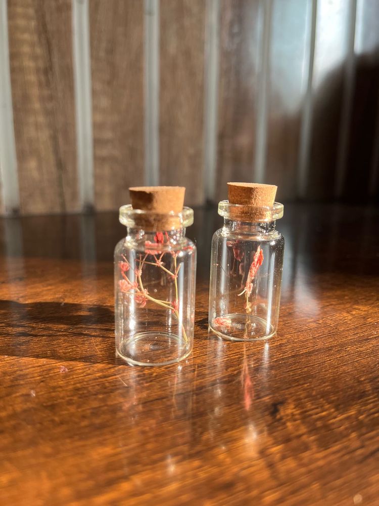 Real Pressed Flowers Inside A Mini Glass Bottle