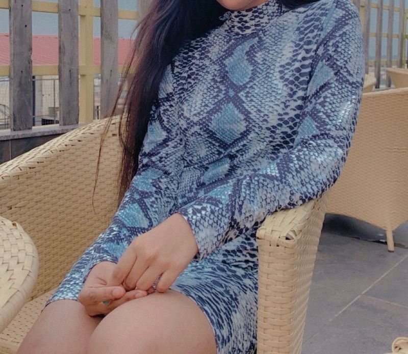 Snakeskin Print Mini Dress