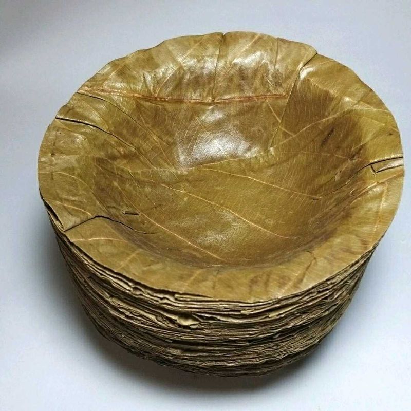 Siali Leaf Eco Friendly Disposable Bowls 50