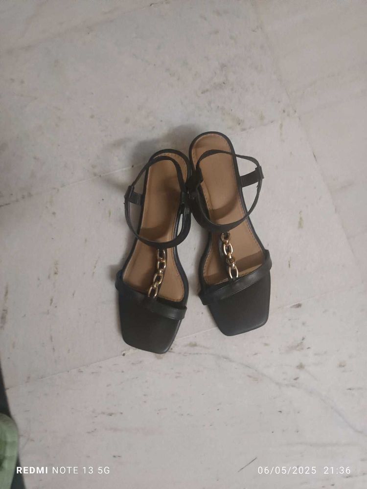 Black Belleies