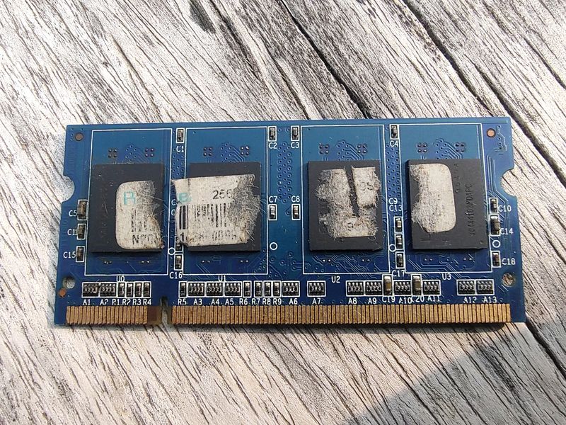 Ram