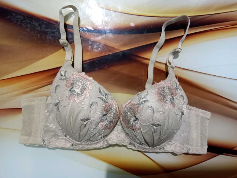 Floral Embroidered Bra
