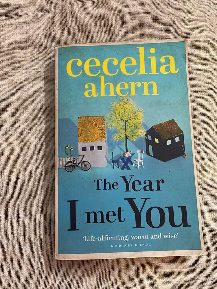 The Year I Met You