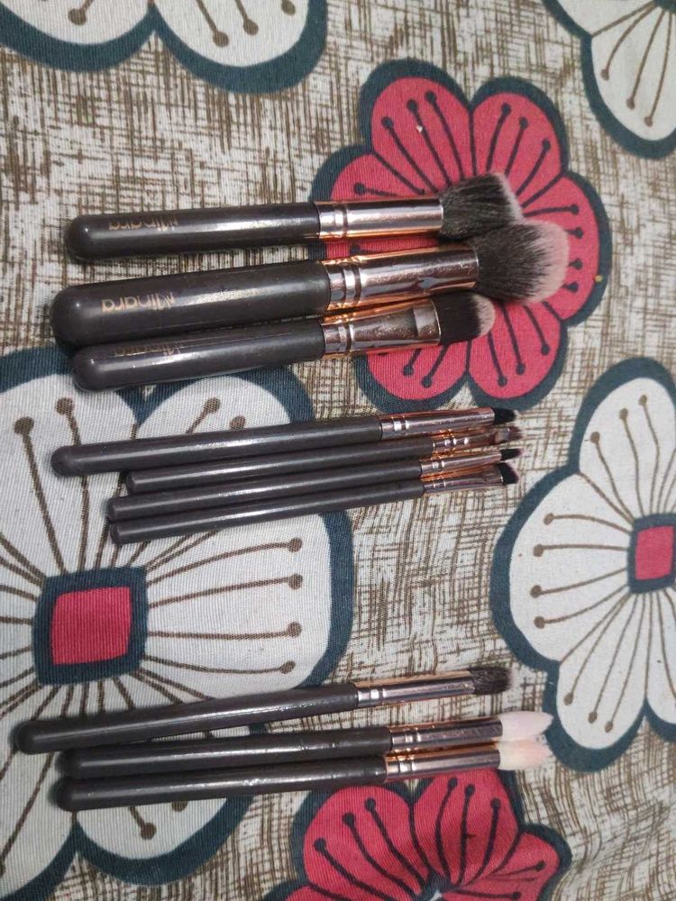 Lilara Brush Set used for 1 to 2 tym