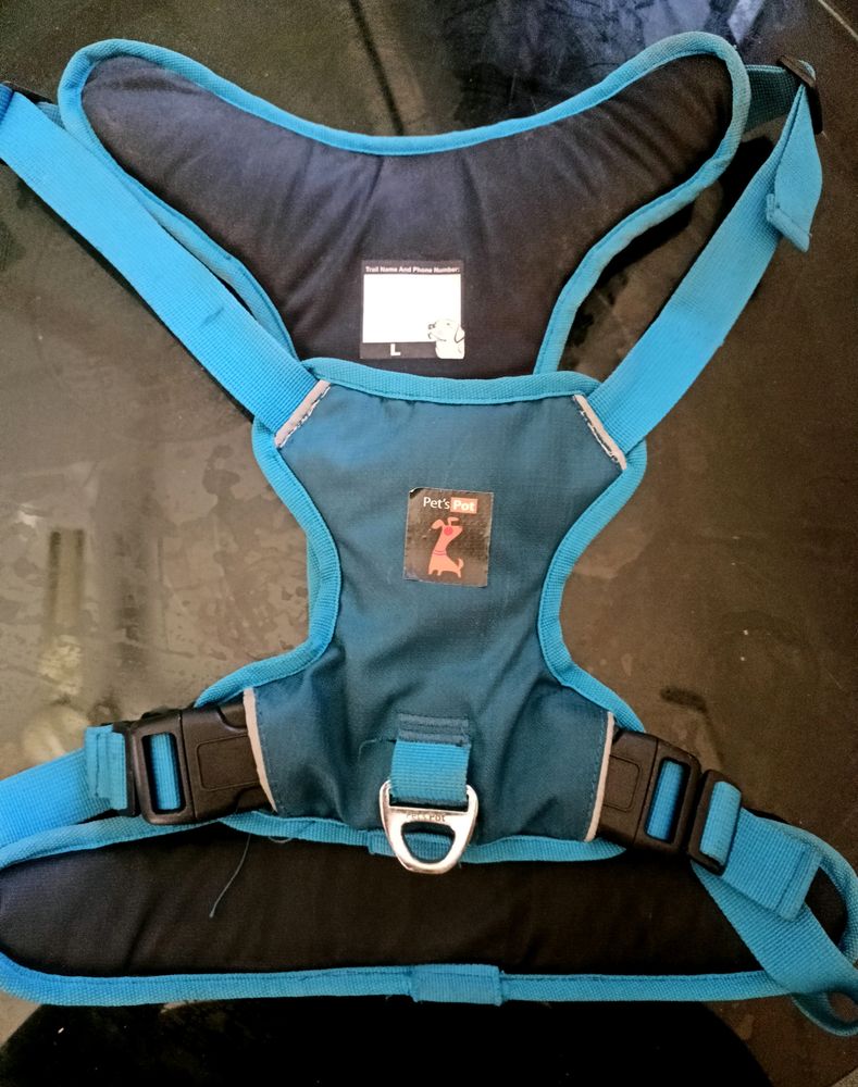 Dog Leash