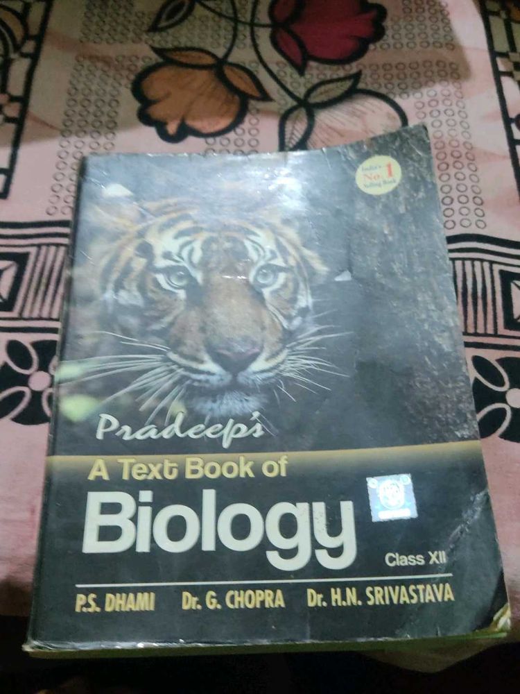 Book