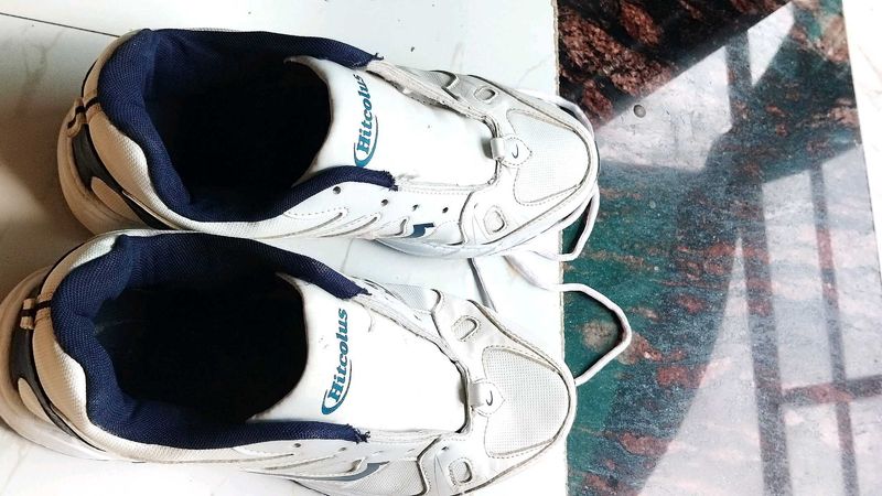 Hitcolus White &amp; Blue Sneakers