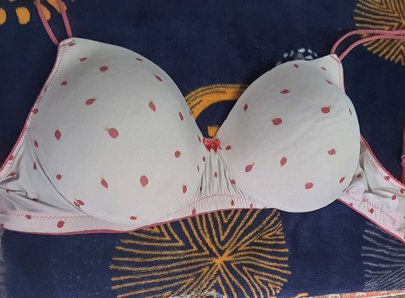 Combo of 3 premium bras