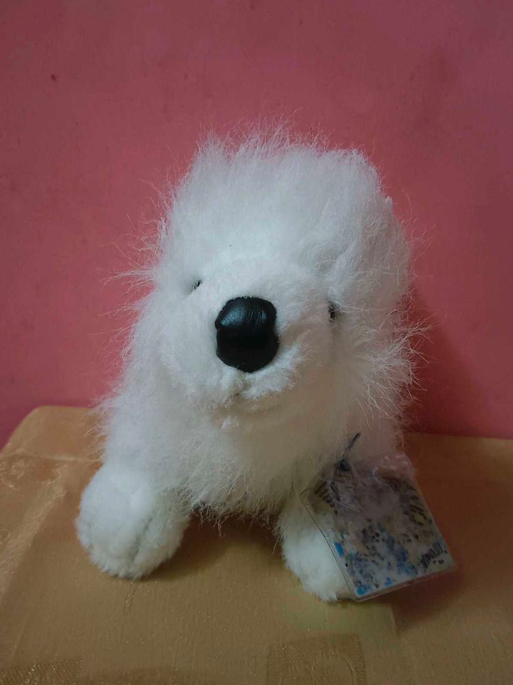 GANZ Webkinz Samoyed