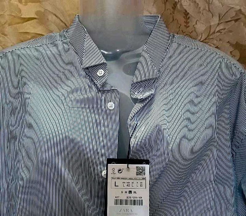 Zara Wing Collar Authentic