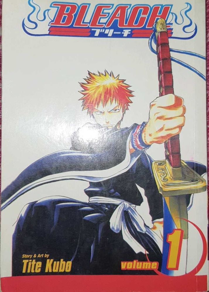 bleach volume 1