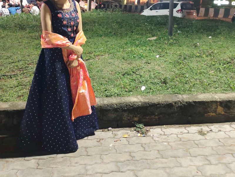 Elegant Ethnic Gown