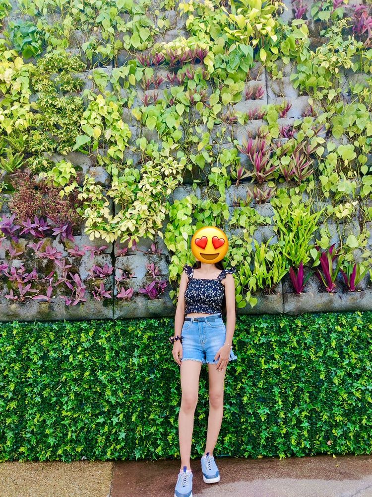 Black Crop Top
