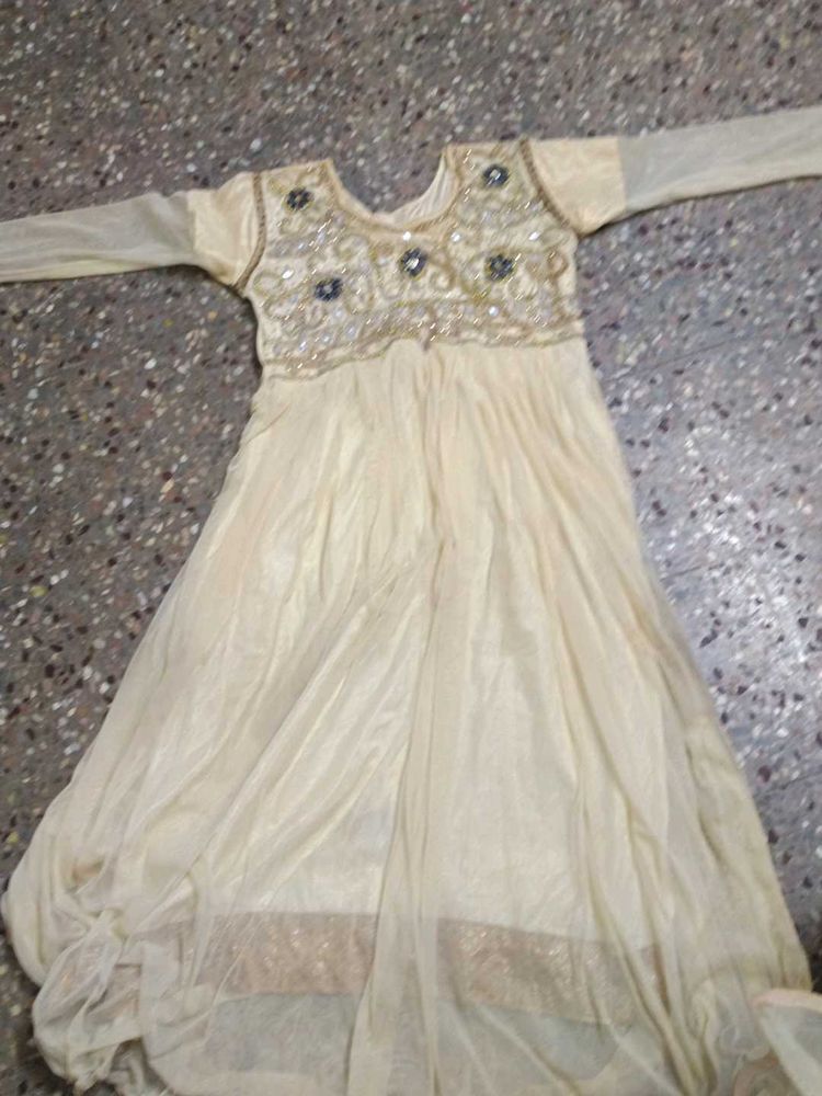 Elegant Embroidered Ethnic Gown