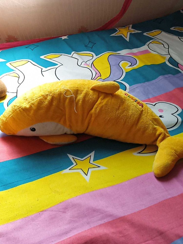 Soft Dolphins🐬