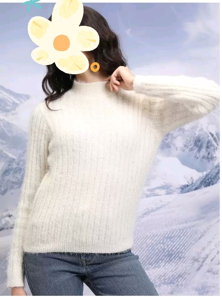 Turtle Neck Sweater