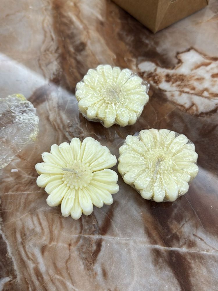 Daisy Flower Scented Candle Pack Of 3