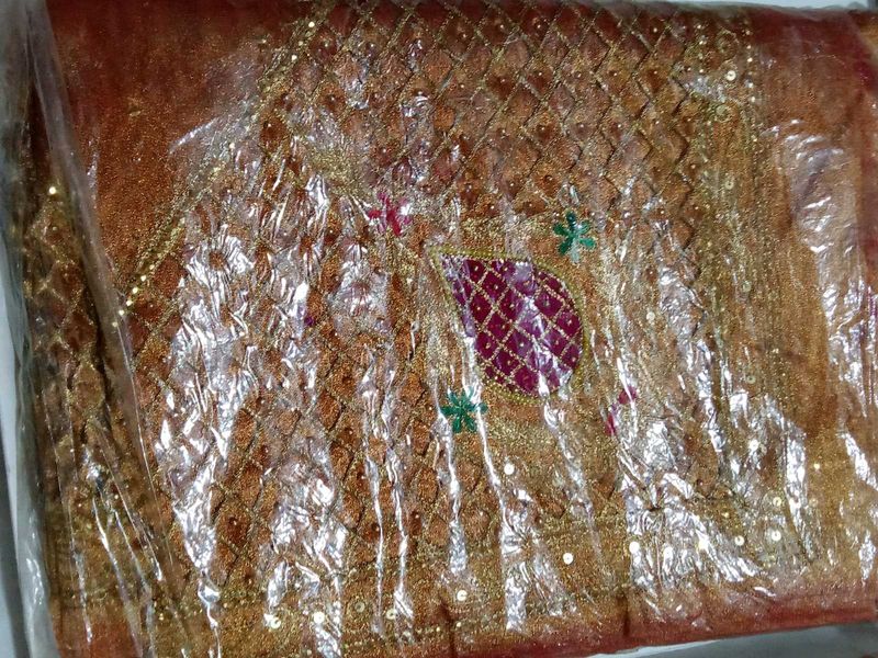 Beautiful Embellished Saree