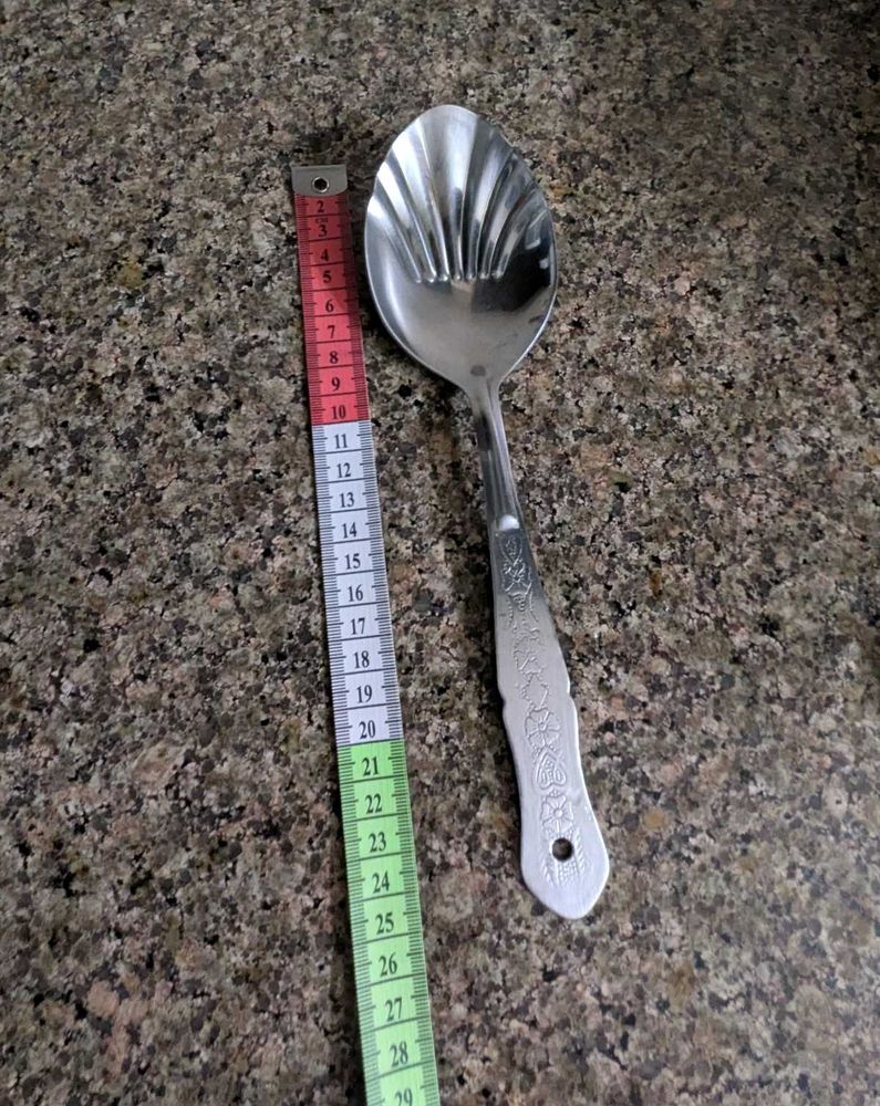 stainless steel oval Serving Spoon