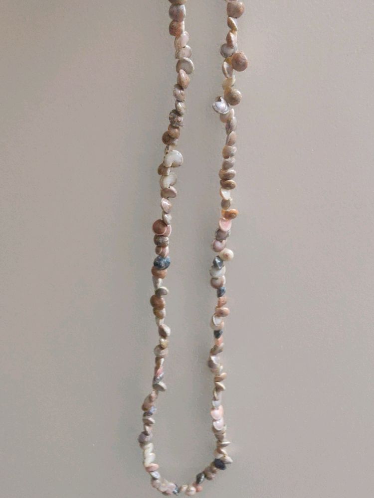 Seashell Neckpiece Unused